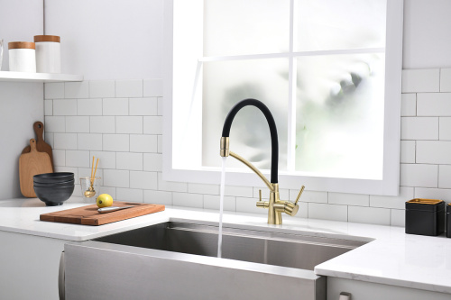 Смеситель для кухни Paulmark SIEGEN Si213111-BR на мойку бронза - фото 3